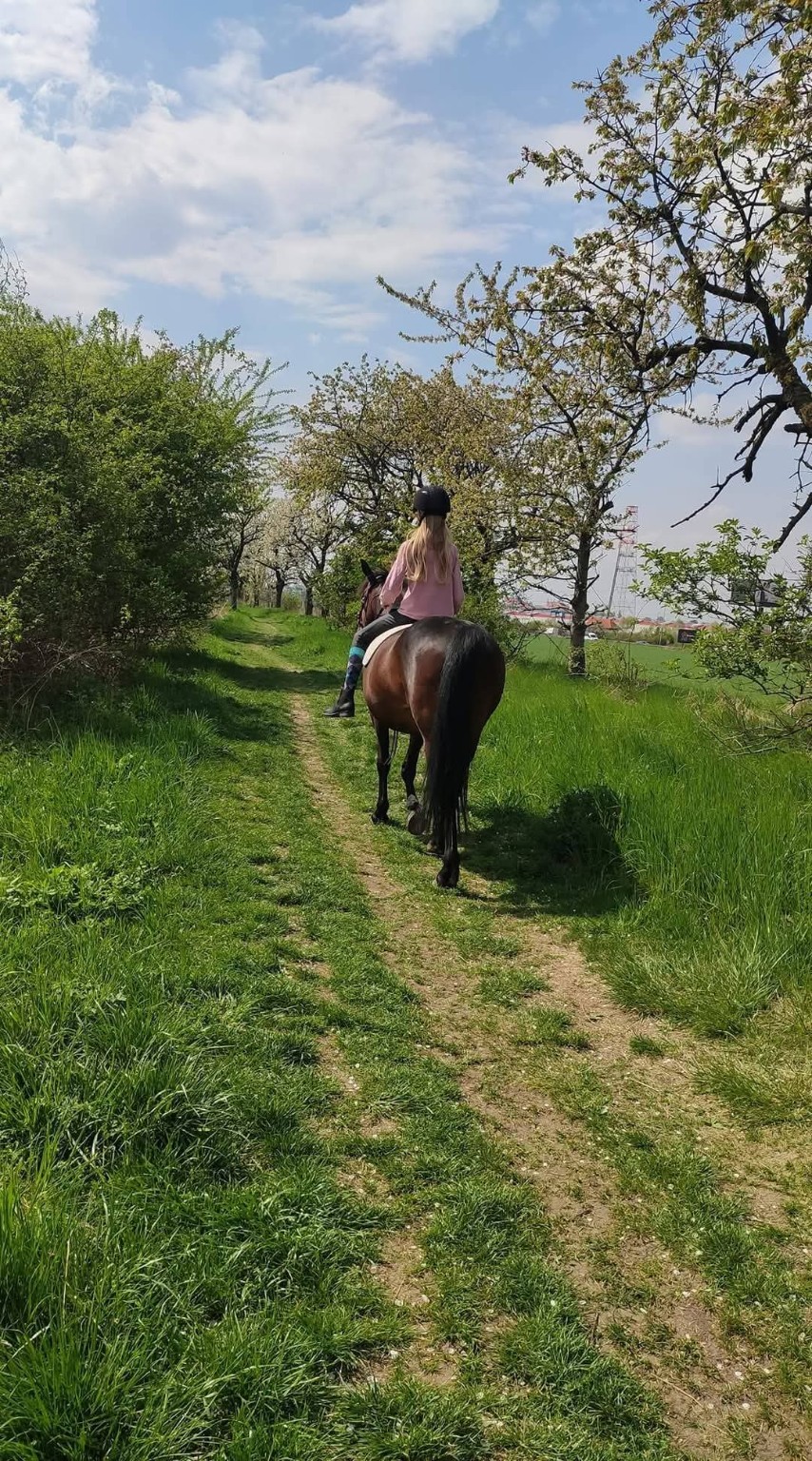 Jízda na koni v zeleni v Praze